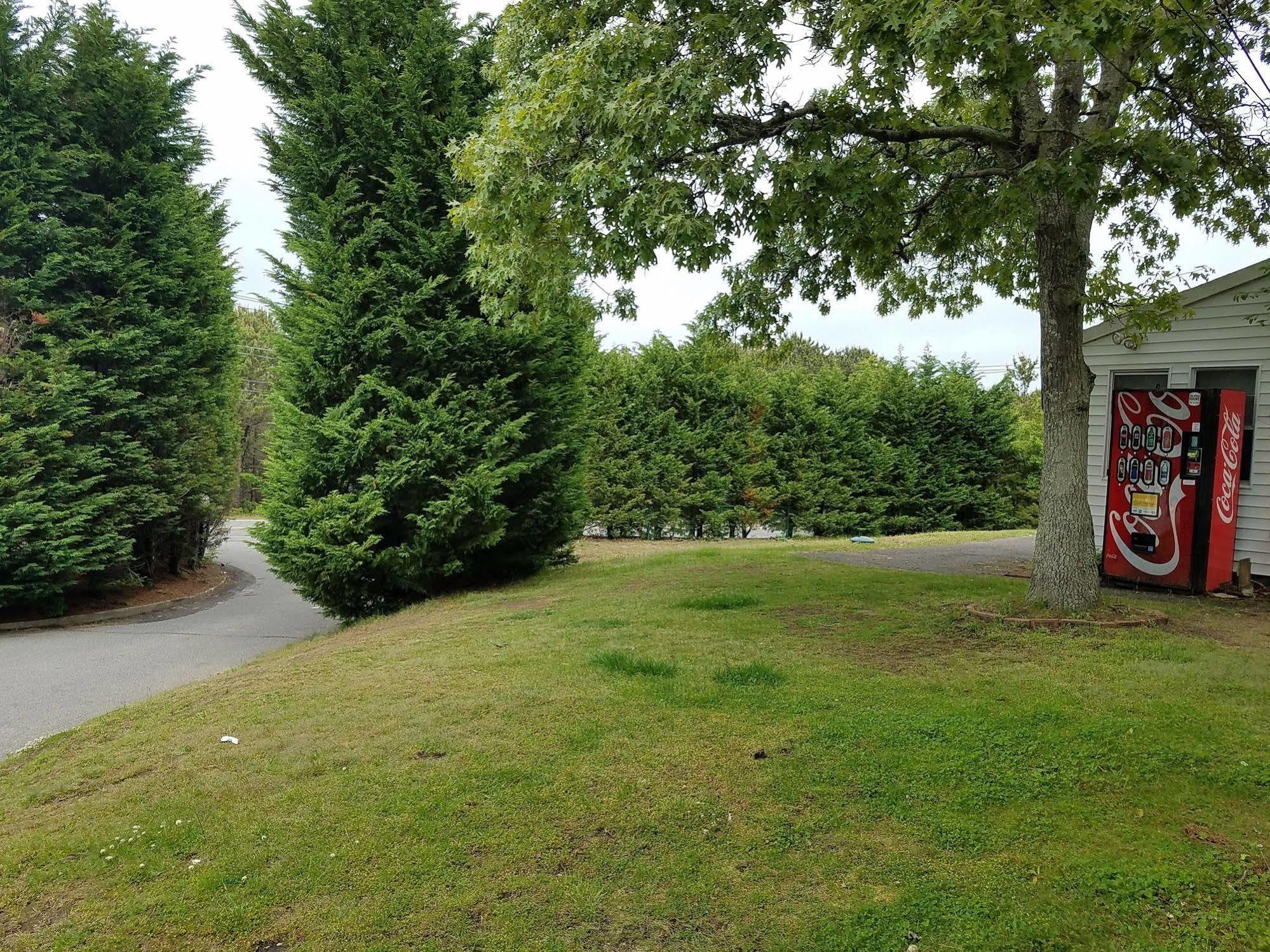 Sea Haven Resort Motel Southampton Εξωτερικό φωτογραφία
